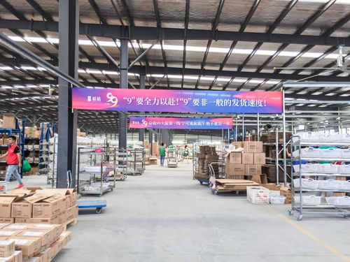 電商倉(cāng)儲(chǔ)物流問(wèn)題的五大建議 聚焦普通貨物倉(cāng)儲(chǔ)服務(wù)