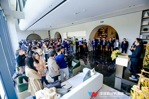 網(wǎng)紅樓盤松風(fēng)明月西部綻放，新世界集團(tuán)詮釋“房住不炒”服務(wù)剛需之美